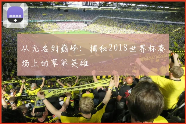 从无名到巅峰：揭秘2018世界杯赛场上的草莽英雄