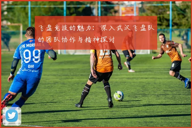 飞盘竞技的魅力：深入武汉飞盘队的团队协作与精神探讨