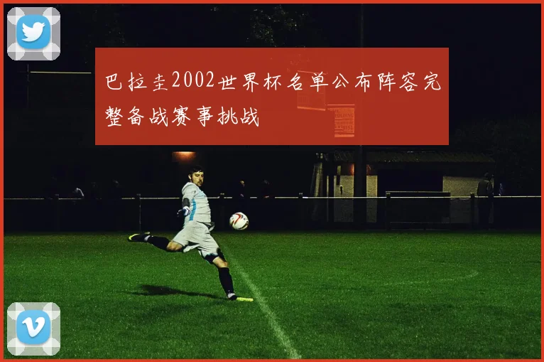 巴拉圭2002世界杯名单公布阵容完整备战赛事挑战