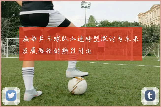 成都乒乓球队加速转型探讨与未来发展路径的热烈讨论